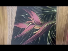 Các cửa sổ kính màu của nhà thờ CCC được cắt theo kích thước